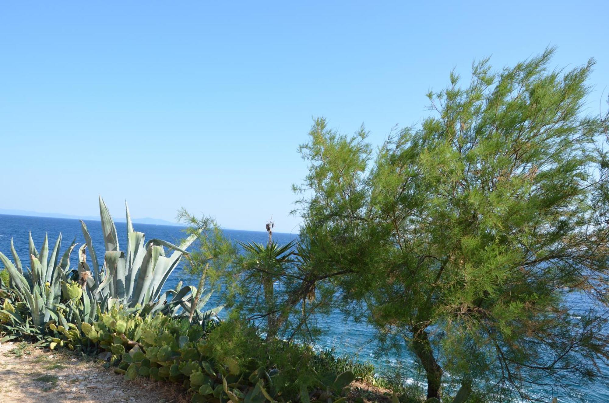 Villa Fortudor Milna  Dış mekan fotoğraf
